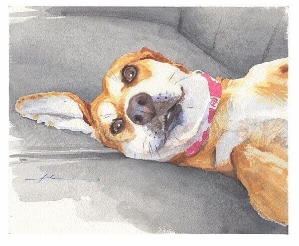 beagle lounging on a couch watercolor portrait by portrait artist mike theuer