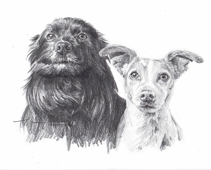 black and light dog family pencil portrait by portrait artist mike theuer.