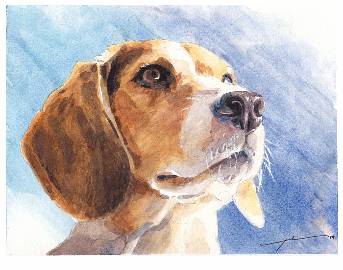 beagle closeup sunny watercolor portrait from a photo by portrait artist Mike Theuer