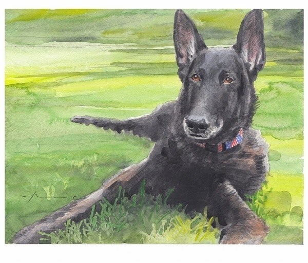 black dog lying on lawn watercolor portrait from a photo by portrait artist Mike Theuer