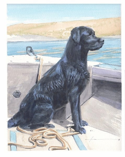black labrador on motorboat watercolor portrait from a photo by portrait artist Mike Theuer