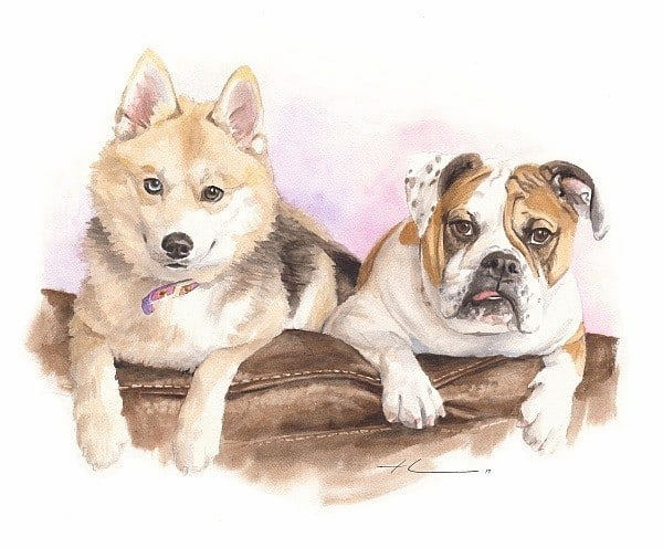 bulldog and husky friends watercolor portrait from a photo by portrait artist Mike Theuer