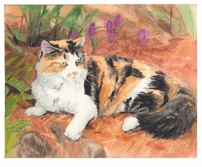 calico cat in garden watercolor painting from a photo by portrait artist Mike Theuer