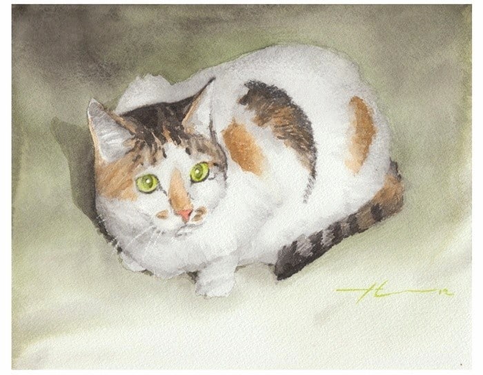 calico kitty watercolor painting from a photo by portrait artist Mike Theuer