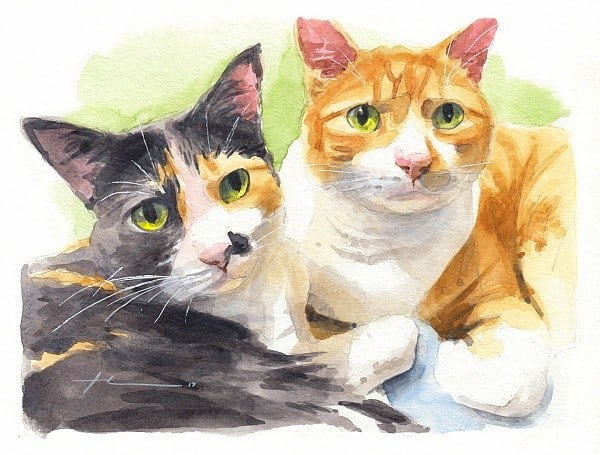cat friends watercolor portrait from a photo by portrait artist Mike Theuer