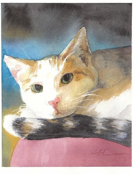 cat watercolor painting from a photo by portrait artist Mike Theuer