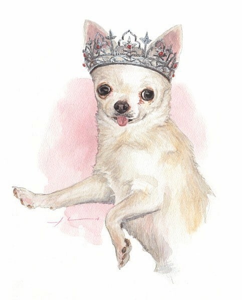 chihuahua princess watercolor portrait from a photo by portrait artist Mike Theuer