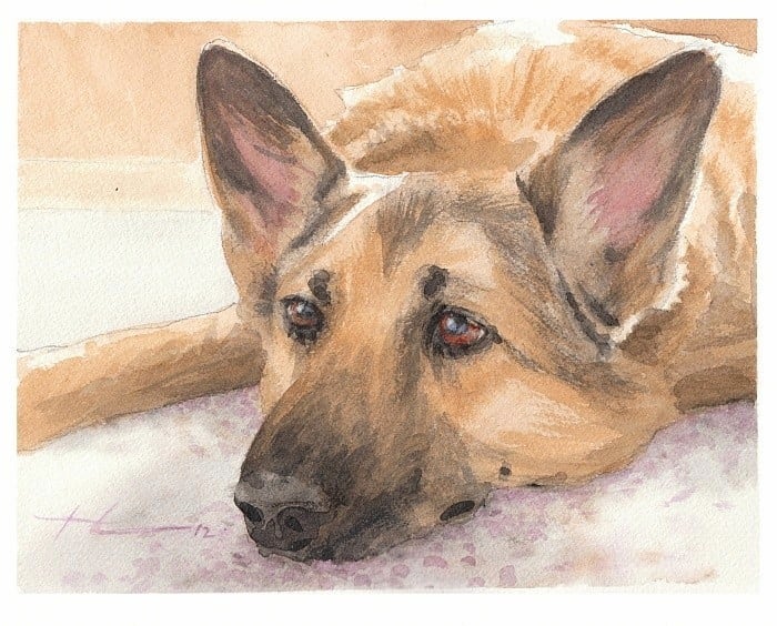 comfy dog watercolor painting from a photo by portrait artist Mike Theuer