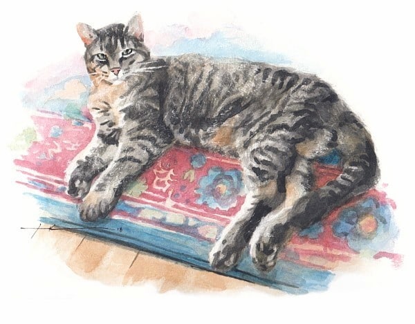 departed tabby cat watercolor portrait from a photo by portrait artist Mike Theuer