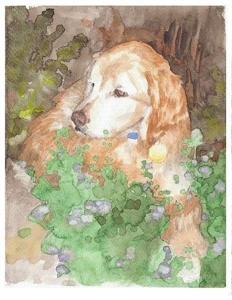 dog in garden watercolor portrait from a photo by portrait artist Mike Theuer