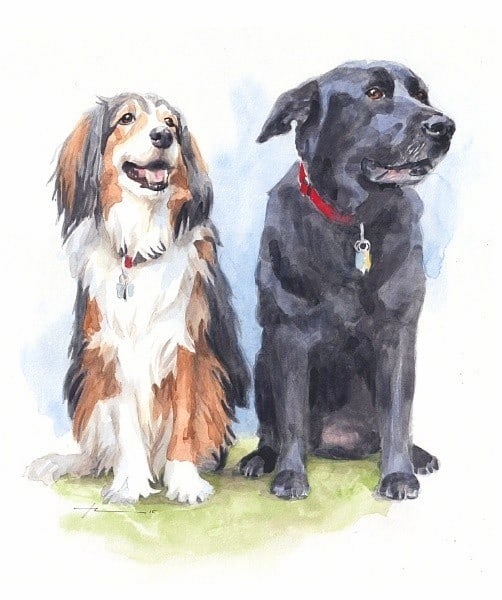 dog sisters watercolor portrait from a photo by portrait artist Mike Theuer