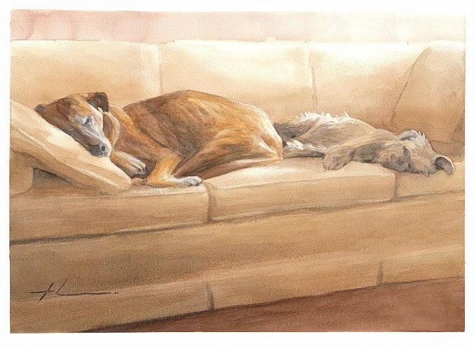 dogs sleeping watercolor painting from a photo by portrait artist Mike Theuer