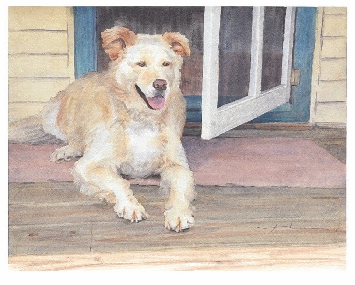 golden retriever in shade watercolor portrait from a photo by portrait artist Mike Theuer