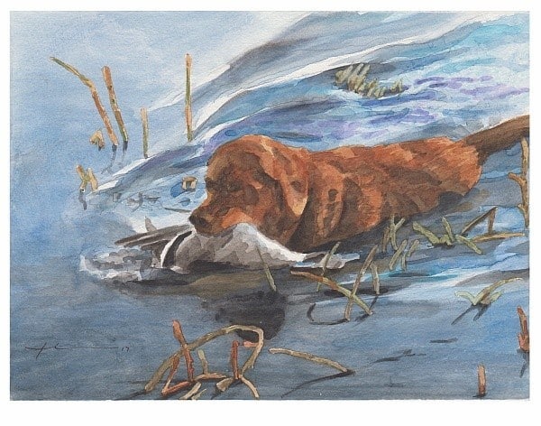 golden retriever with duck watercolor portrait from a photo by portrait artist Mike Theuer