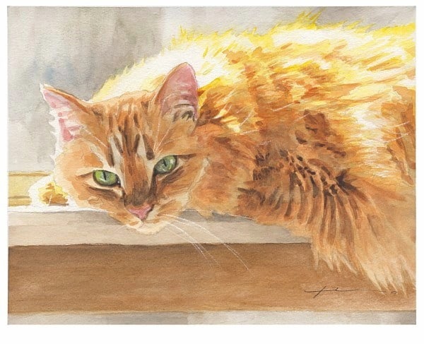 orange maine coon cat watercolor portrait from a photo by portrait artist Mike Theuer
