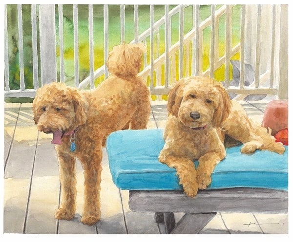 poodles on deck watercolor portrait from a photo by portrait artist Mike Theuer