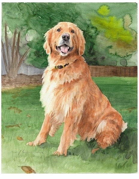 retriever dog watercolor portrait from a photo by portrait artist Mike Theuer