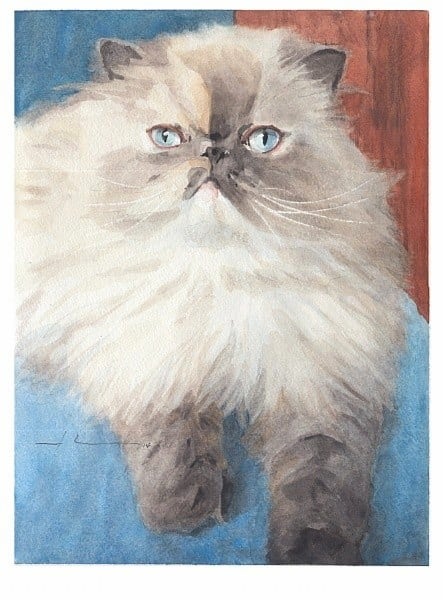 persian cat watercolor portrait from a photo by portrait artist Mike Theuer