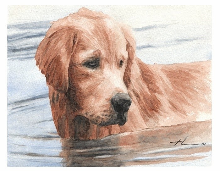 setter dog painting from a photo by portrait artist Mike Theuer