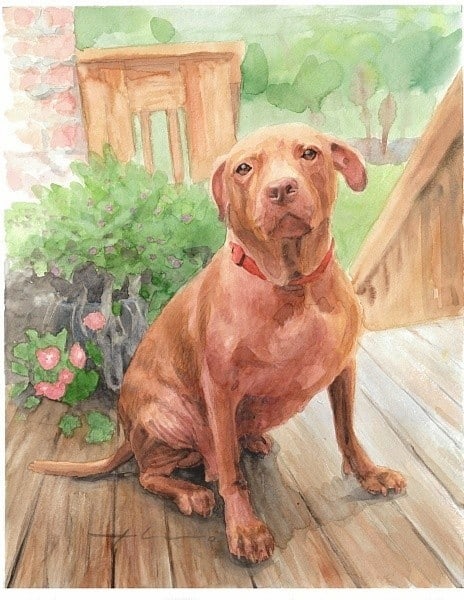 sweet dog watercolor portrait from a photo by portrait artist Mike Theuer