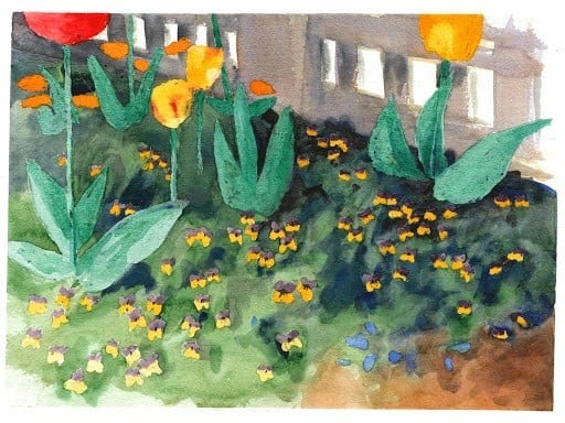 tulips watercolor portrait from a photo by portrait artist Mike Theuer