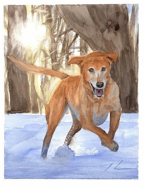 lab in snow watercolor painting from a photo by portrait artist Mike Theuer