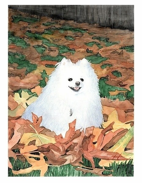 watercolor white dog painting from a photo by portrait artist Mike Theuer