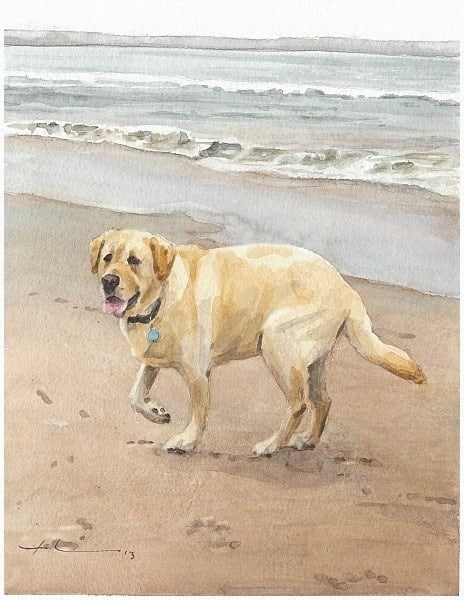 yellow lab ocean watercolor portrait from a photo by portrait artist Mike Theuer
